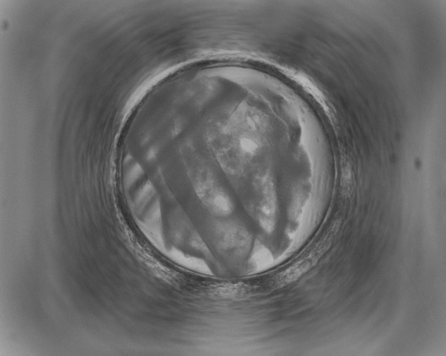 X0000087631279200705181451