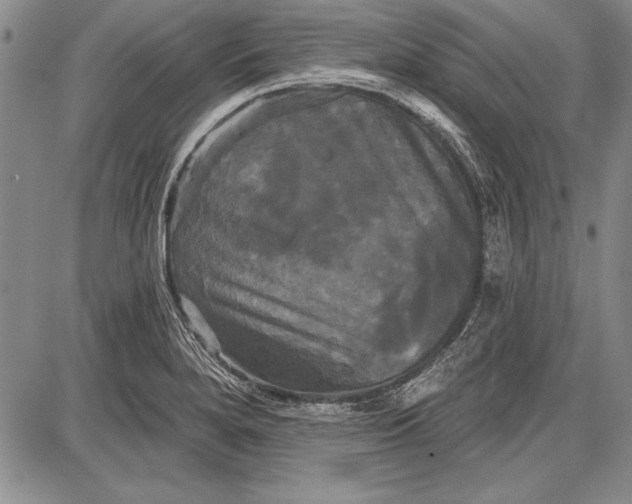 X0000087631280200705181451