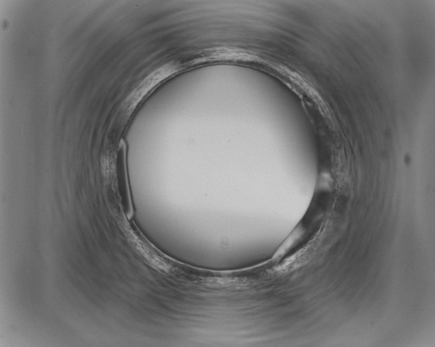 X0000087631281200705181451