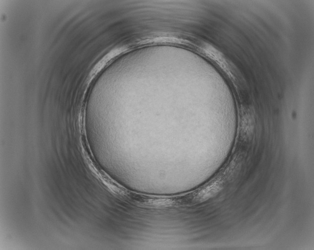 X0000087631282200705181451