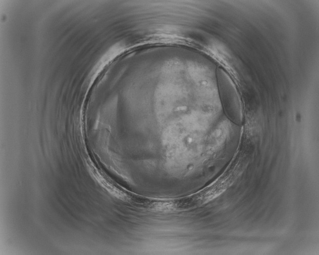 X0000087631283200705181451