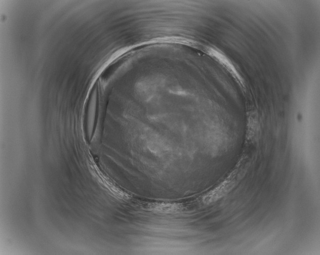 X0000087631284200705181451