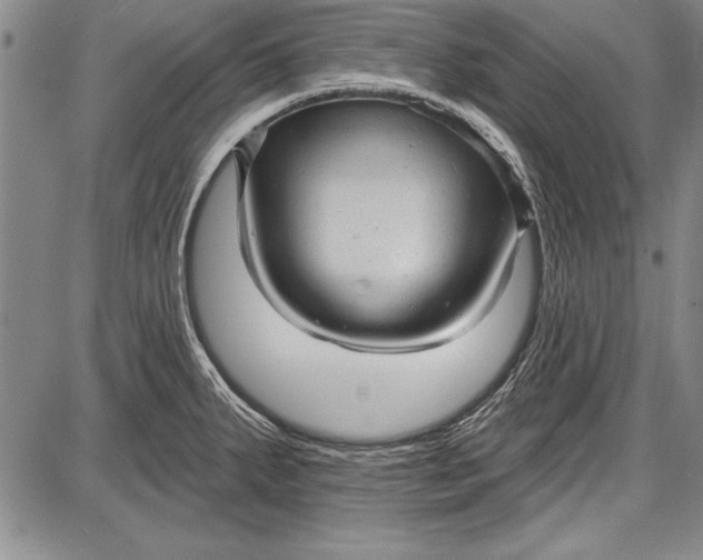 X0000087631287200705181451