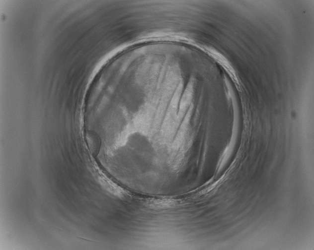 X0000087631288200705181451