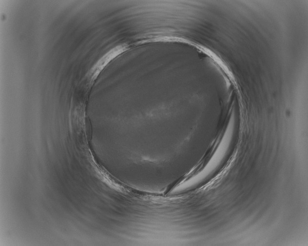 X0000087631289200705181451