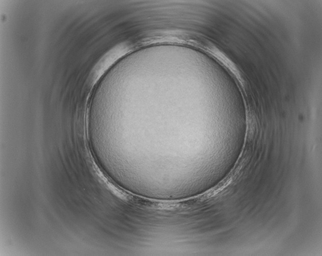 X0000087631290200705181451