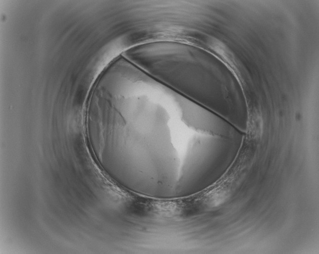 X0000087631291200705181451