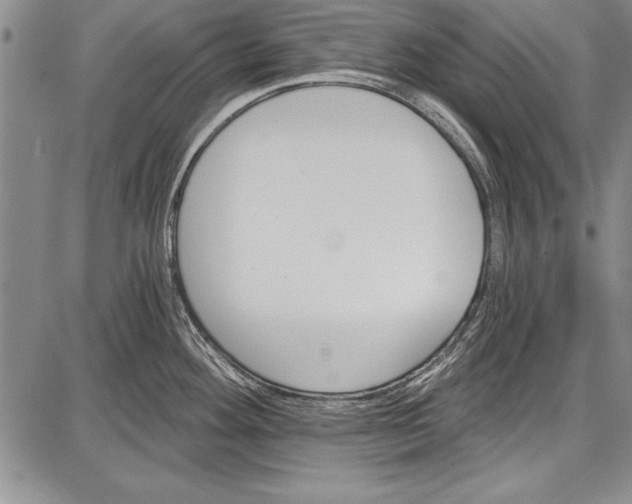 X0000087631292200705181451