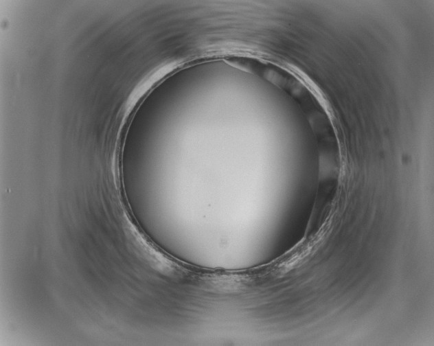 X0000087631293200705181451