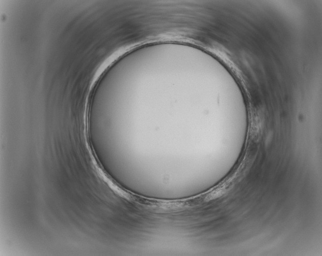 X0000087631294200705181451