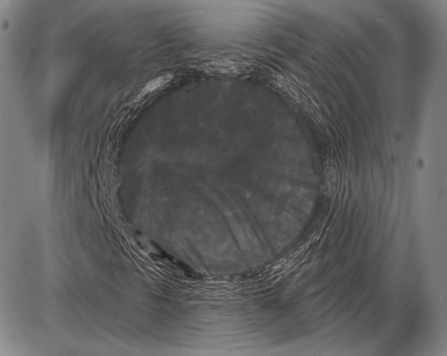 X0000087631297200705181450