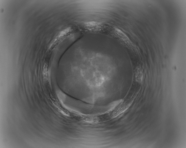 X0000087631298200705181450