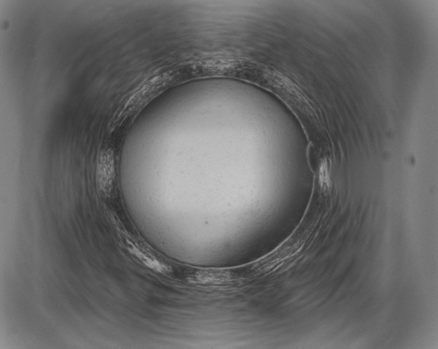 X0000087631299200705181450