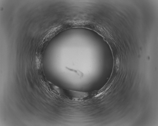 X0000087631300200705181450