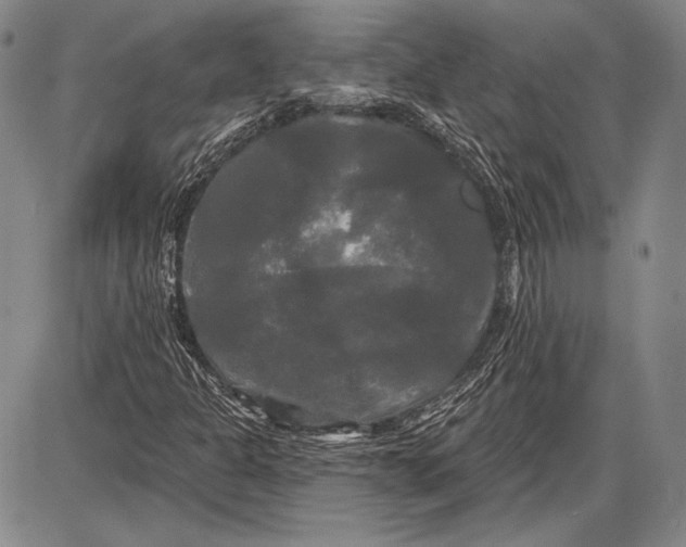 X0000087631301200705181450