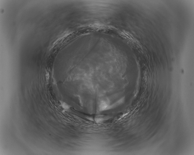 X0000087631302200705181450