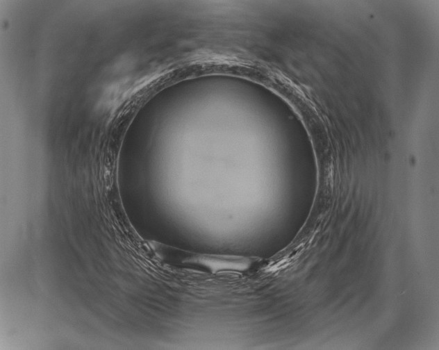 X0000087631303200705181450