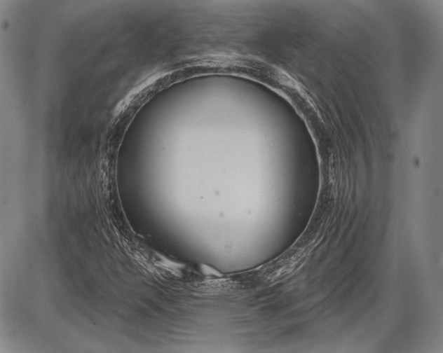 X0000087631304200705181450