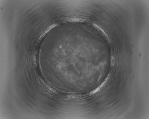 X0000087631305200705181450