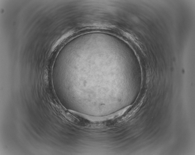 X0000087631307200705181450