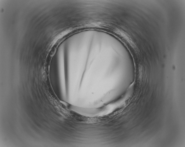 X0000087631308200705181450