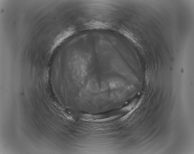 X0000087631309200705181450