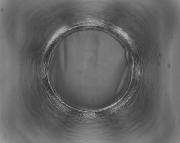 X0000087631310200705181450