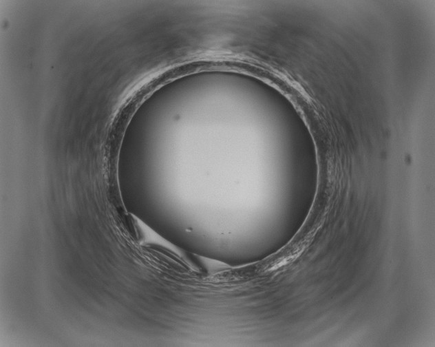 X0000087631311200705181450