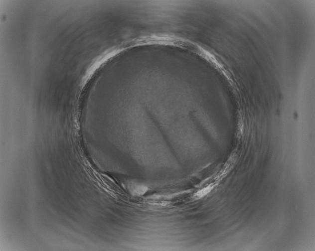 X0000087631312200705181450