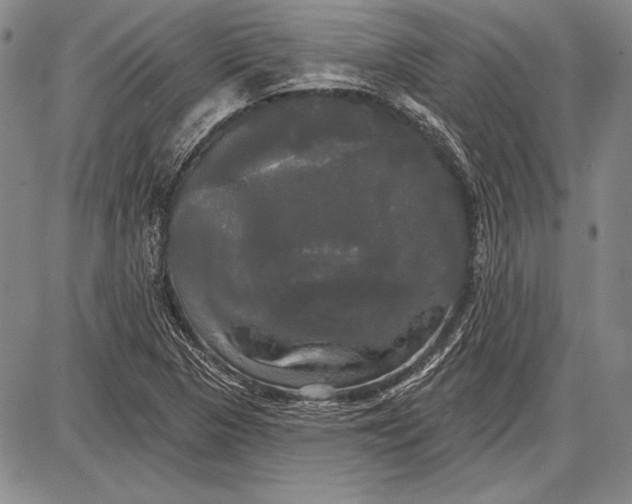 X0000087631313200705181450