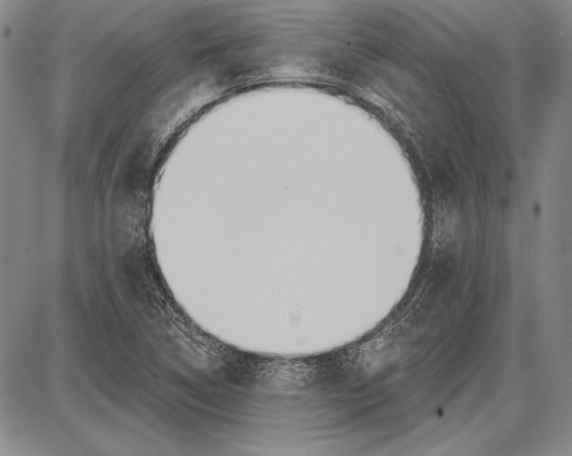 X0000087631314200705181450