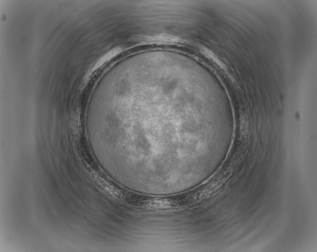 X0000087631315200705181450