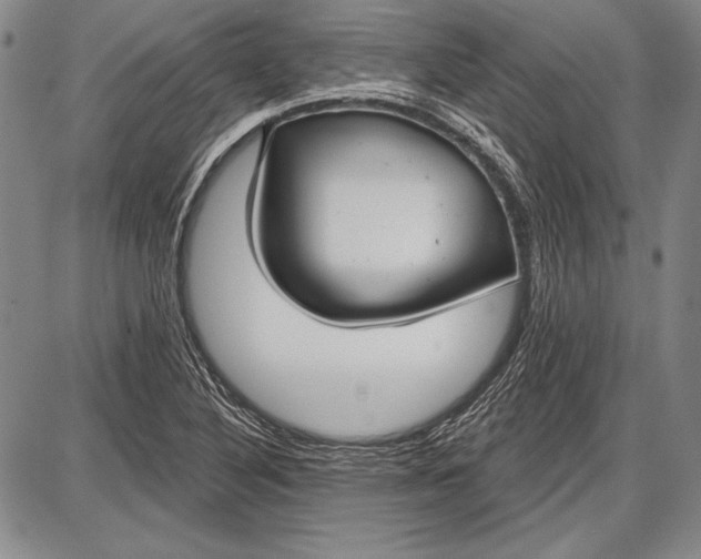 X0000087631316200705181450