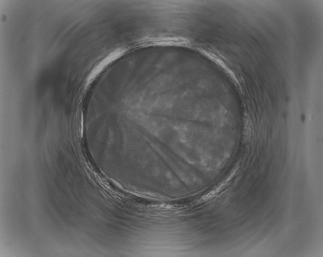 X0000087631317200705181450