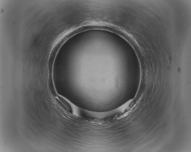 X0000087631319200705181450