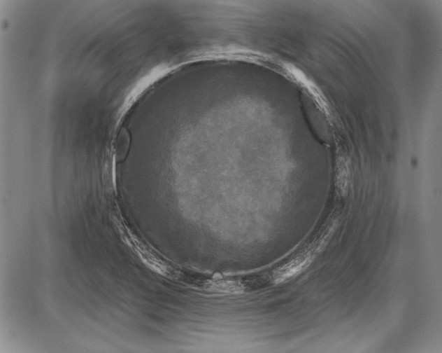 X0000087631320200705181450