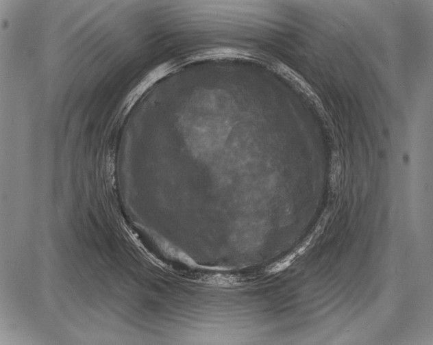 X0000087631321200705181450