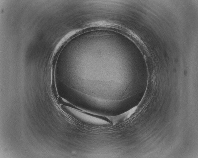 X0000087631323200705181450