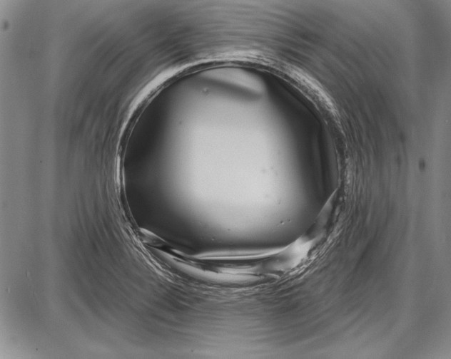 X0000087631324200705181450