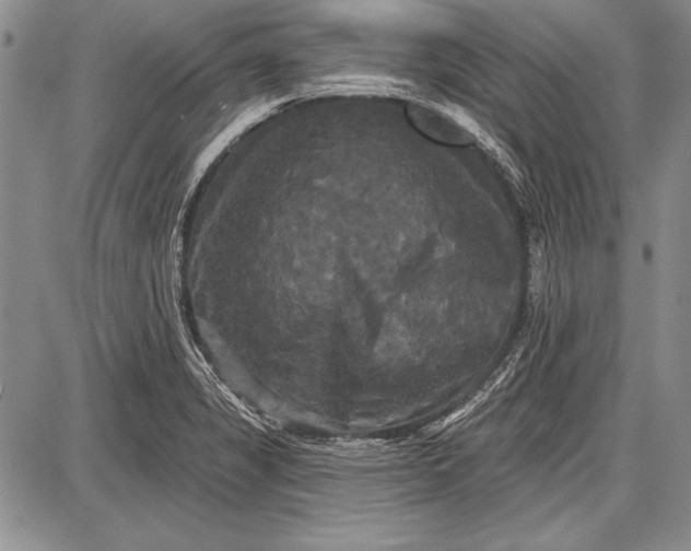 X0000087631325200705181450