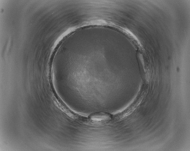 X0000087631326200705181451