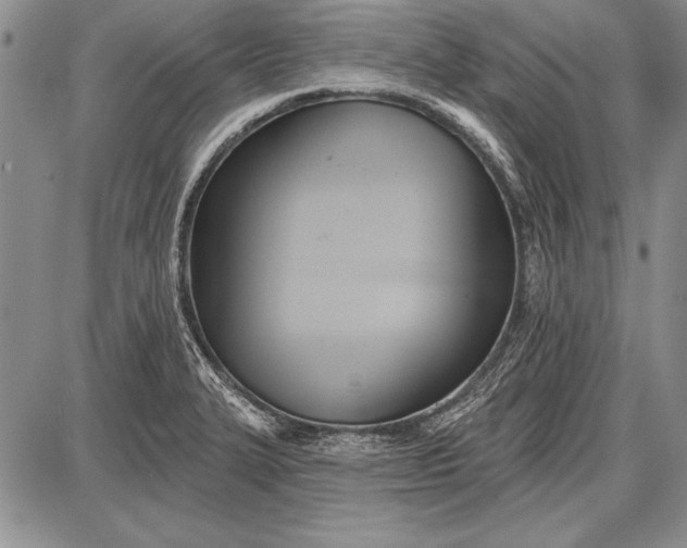 X0000087631327200705181451