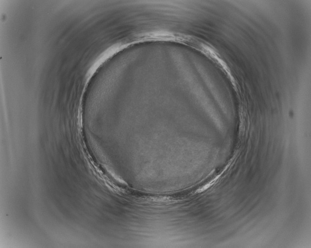 X0000087631328200705181451