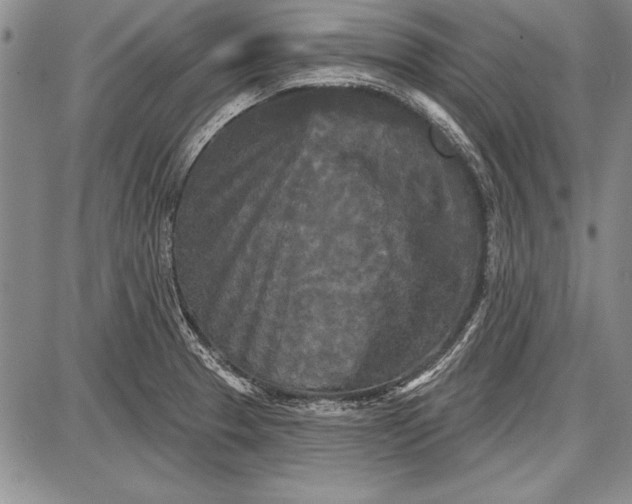 X0000087631329200705181451