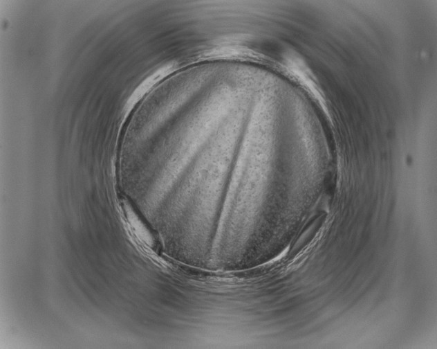 X0000087631330200705181451