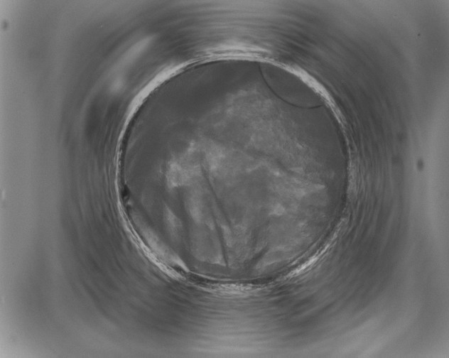 X0000087631333200705181451