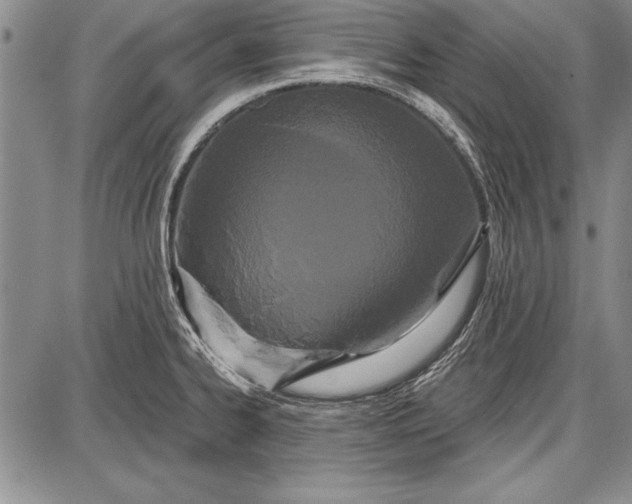 X0000087631334200705181451