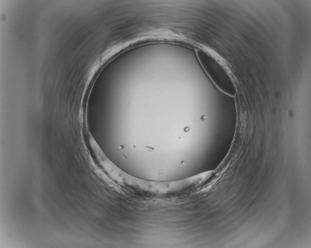 X0000087631335200705181451