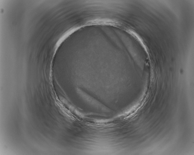 X0000087631336200705181451