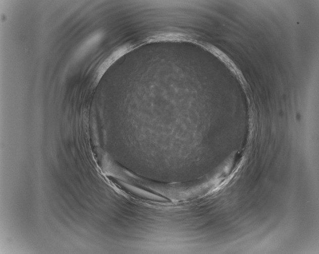 X0000087631337200705181451